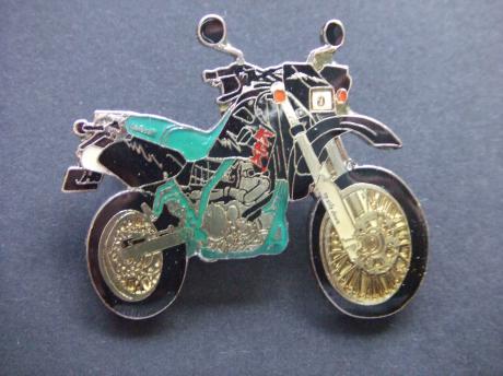 Kawasaki crossmotor